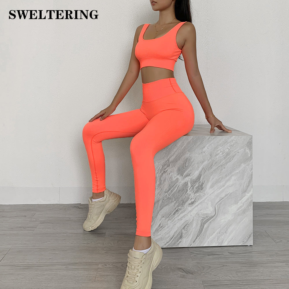 FlexFit Seamless Activewear Set