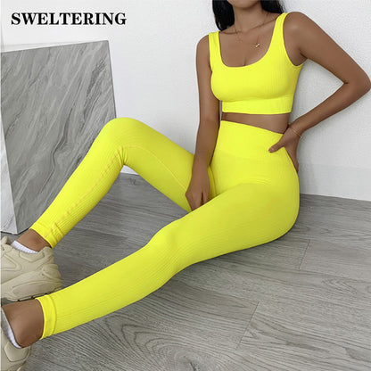 FlexFit Seamless Activewear Set