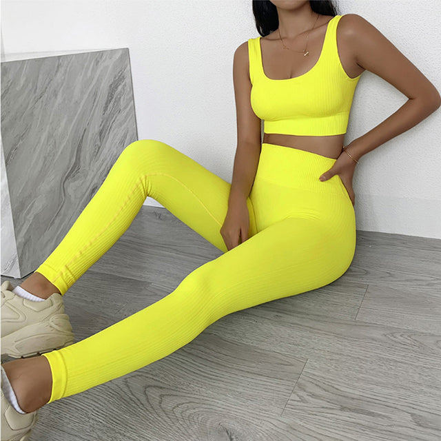 FlexFit Seamless Activewear Set